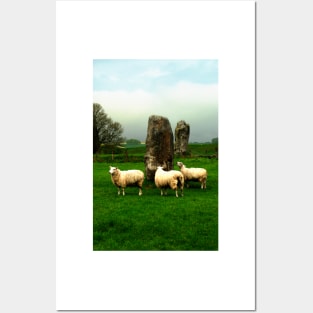 Ovine Tourists Posters and Art